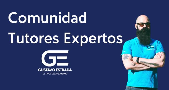 Comunidad Tutores Expertos