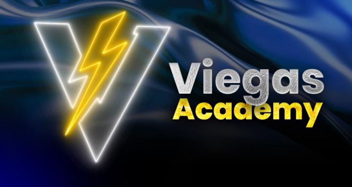 Viegas Editors Academy