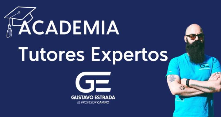 Academia Tutores Expertos
