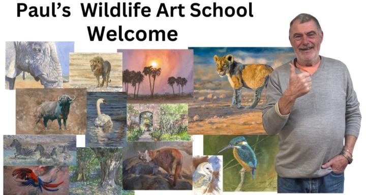 Media Image