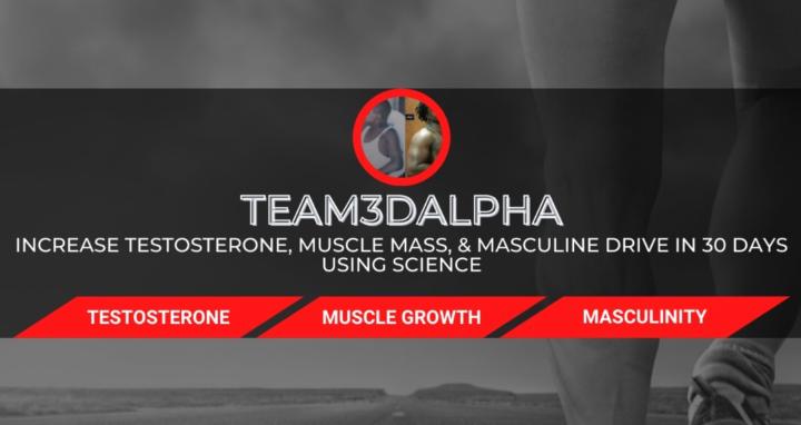 Team3DAlpha