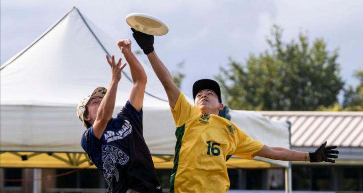 Ultimate Academy (Free)