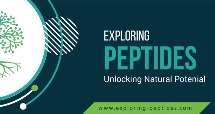 Exploring Peptides