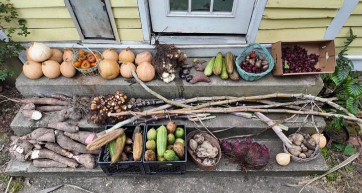 The Survival Gardener