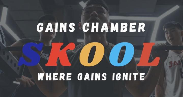 Gains Chamber (Lite)