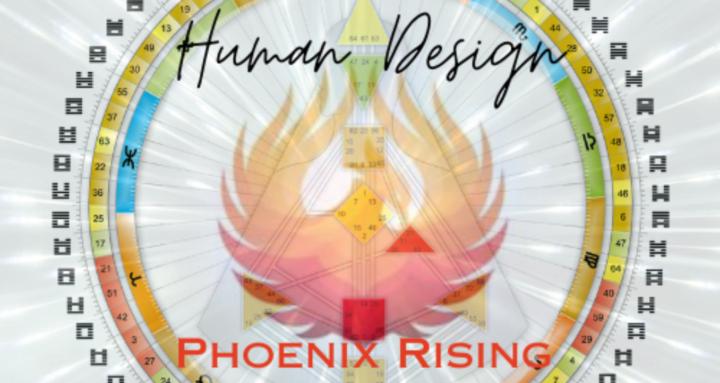 Human Design Phoenix Rising