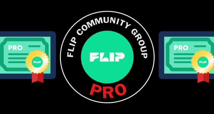 Flip Community Group – Pro