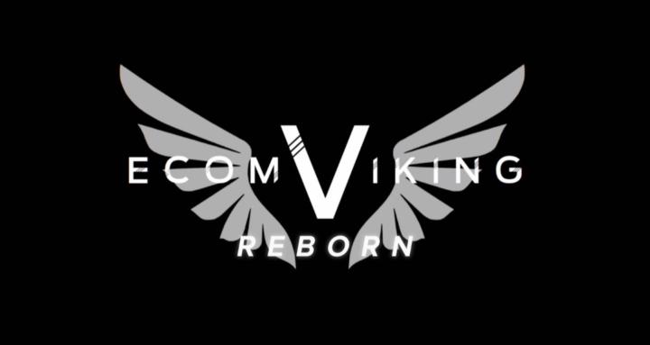 Ecom Viking